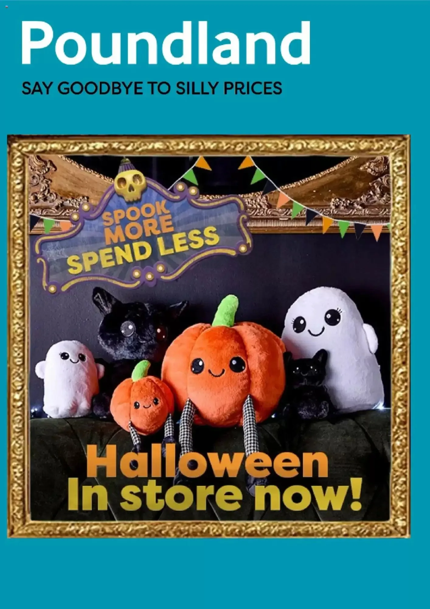 Poundland leaflet